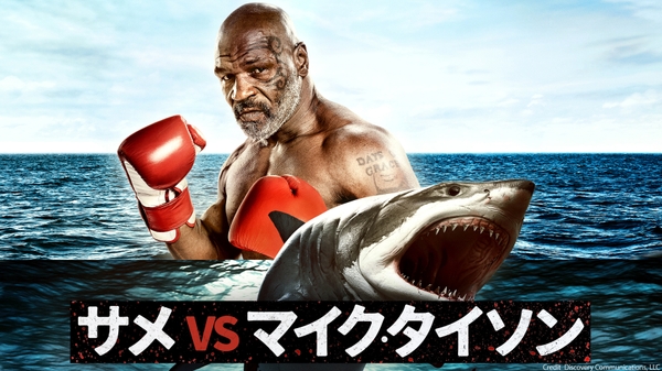 Credit: Discovery Communications, LLC