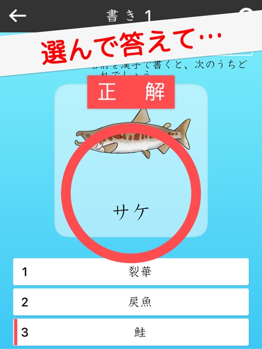 紹介画像3