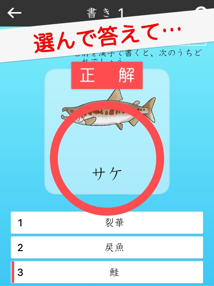 紹介画像3