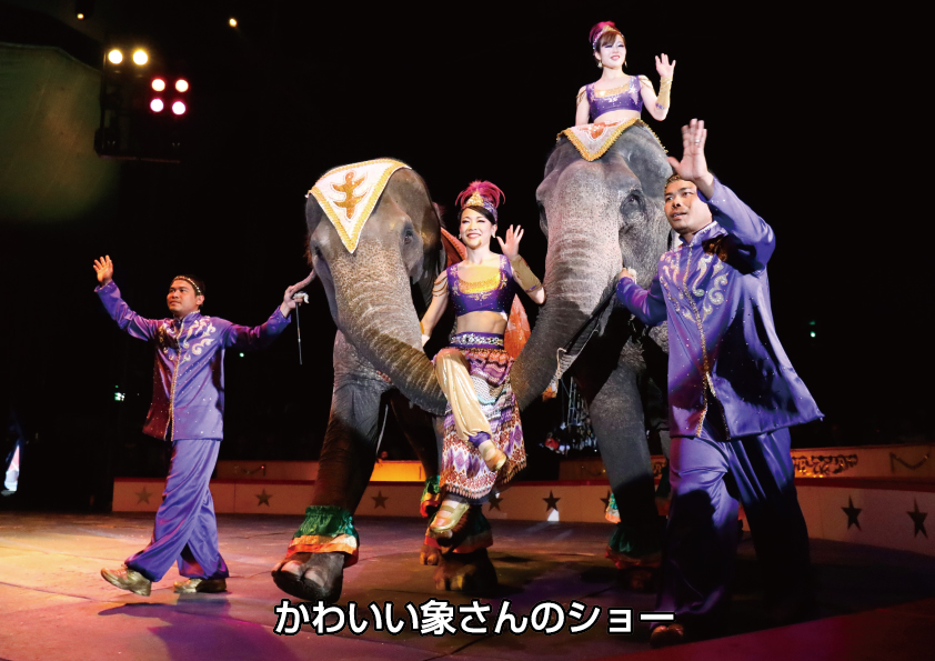 創立119年 木下大サーカス 湘南地域で初開催 カンフェティで