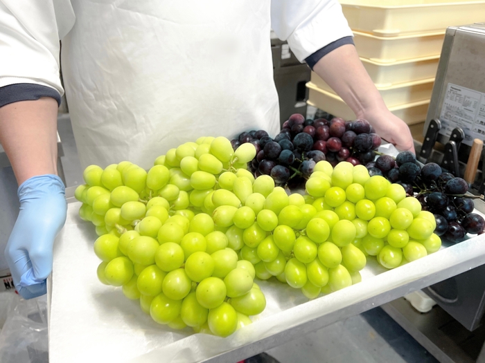 商品開発の様子