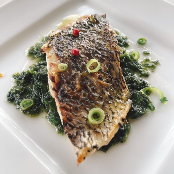 房州産　黒鯛の炭火焼　新青海苔のソース