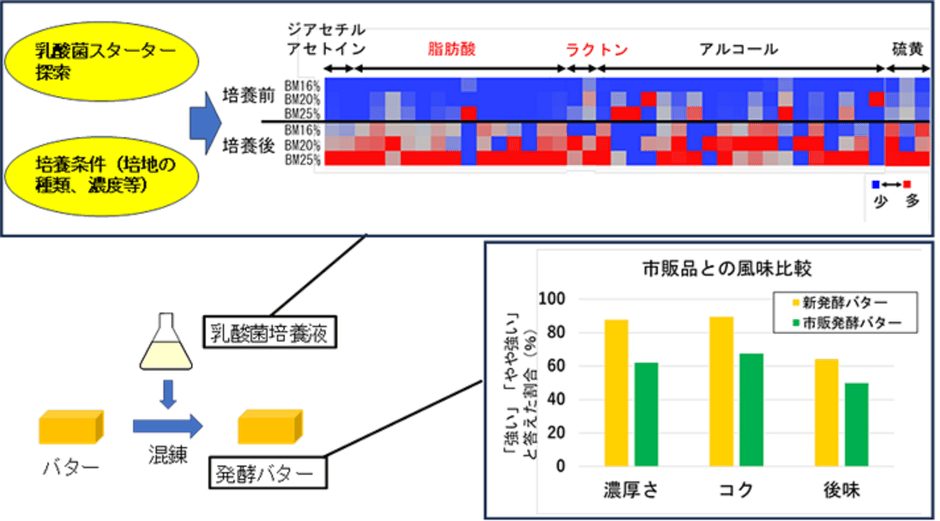 図 乳酸菌スターターおよび培養条件の違いが発酵バターの風味特性に及ぼす影響