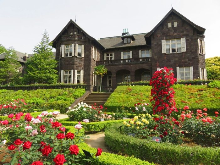 旧古河庭園のイチオシのフォトスポットも今が一番美しい時期です!