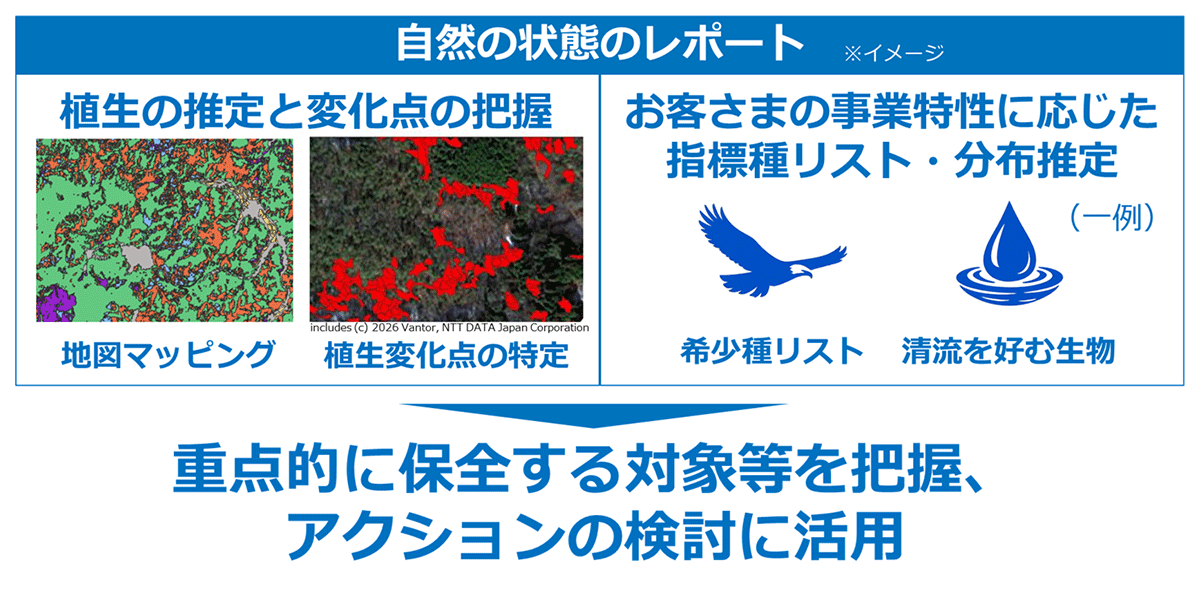 <自然資本モニタリングソリューションのアウトプットイメージ>