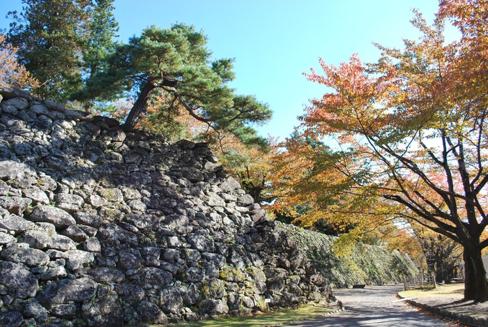 小諸城址懐古園　馬場