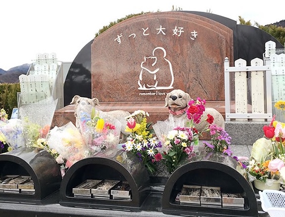 ペットのお迎え個別火葬サービス、お迎え可能エリアを3府県27市町村に拡大 ヤシロペットセレモニー
