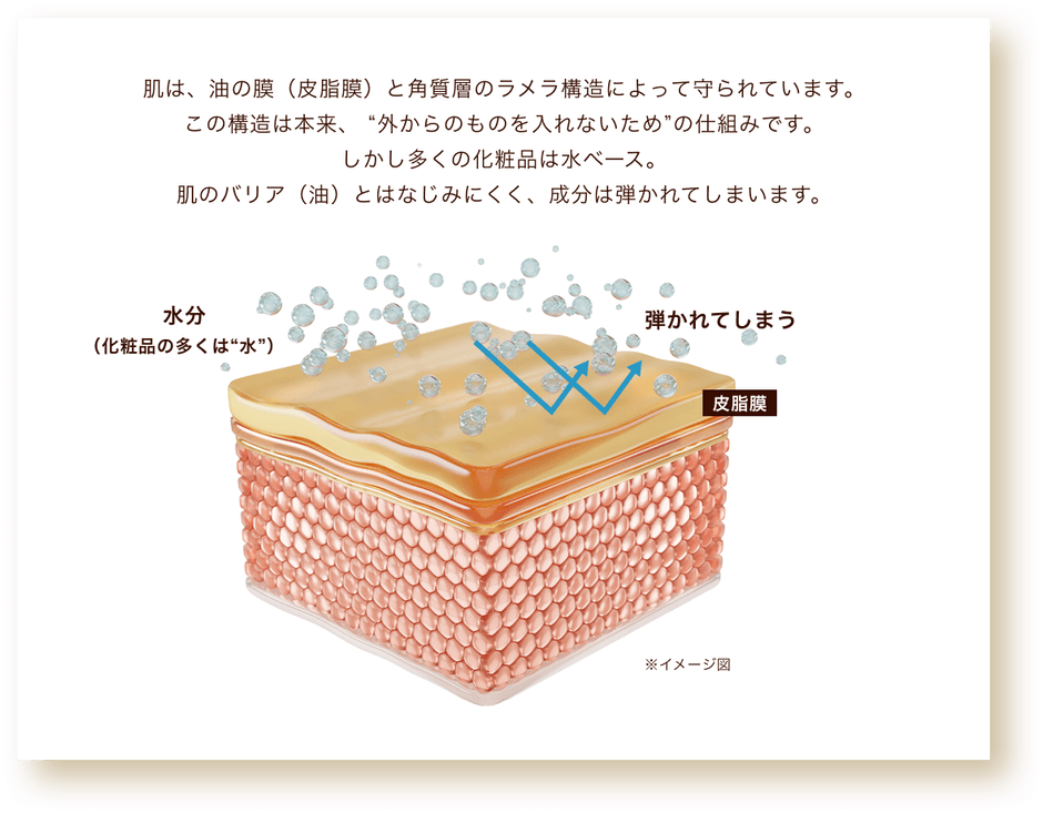 肌のバリア機能