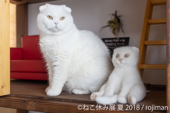 展示作品3