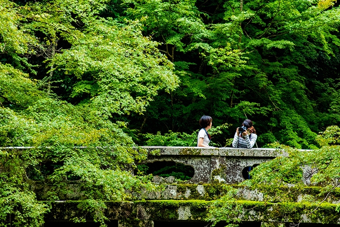 坂本でのフィールドワーク日吉大社境内にて