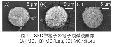 【名城大学】肺に効率的に届けて長く留まる機能性吸入粉末薬を設計