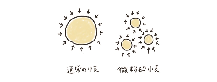 小麦イラスト