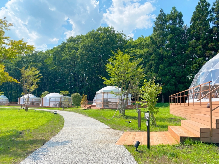 新緑グランピング