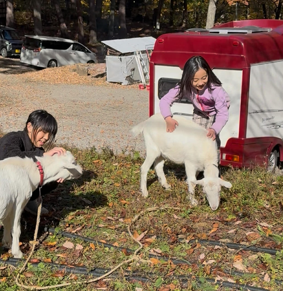 写真(7)：ヤギ放牧で下草がない状態