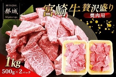 宮崎牛 贅沢盛り 焼肉用 1kg