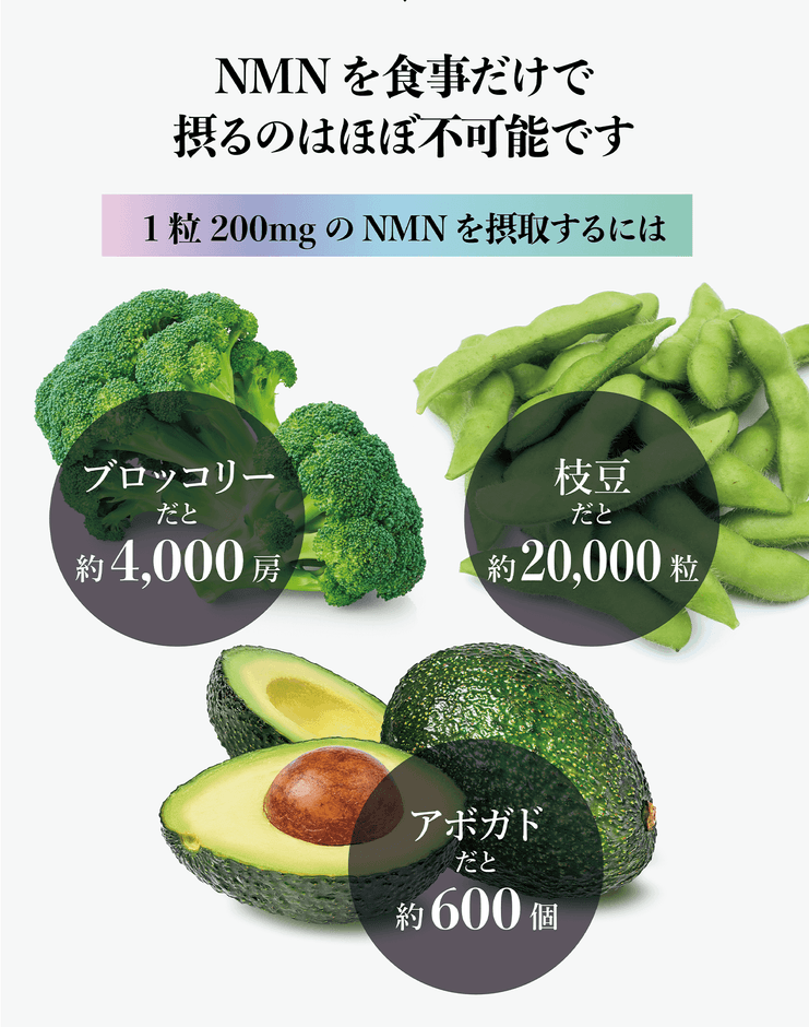 NMN1粒に含まれる成分