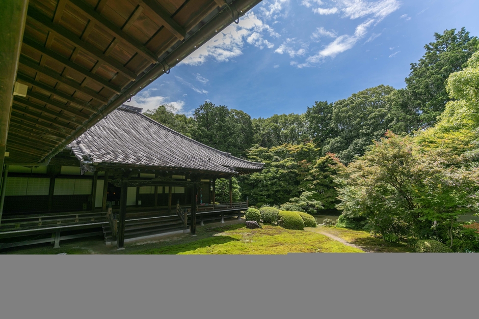 隨心院 特別拝観