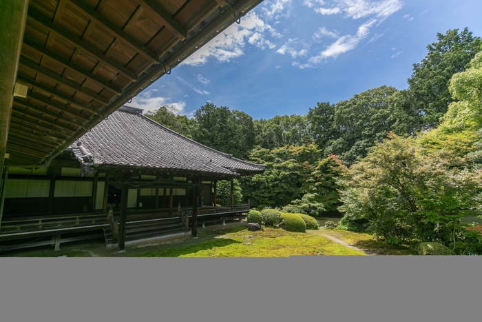 隨心院 特別拝観