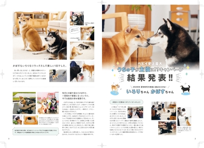 表紙掲載カタログ内の特集ページに掲載