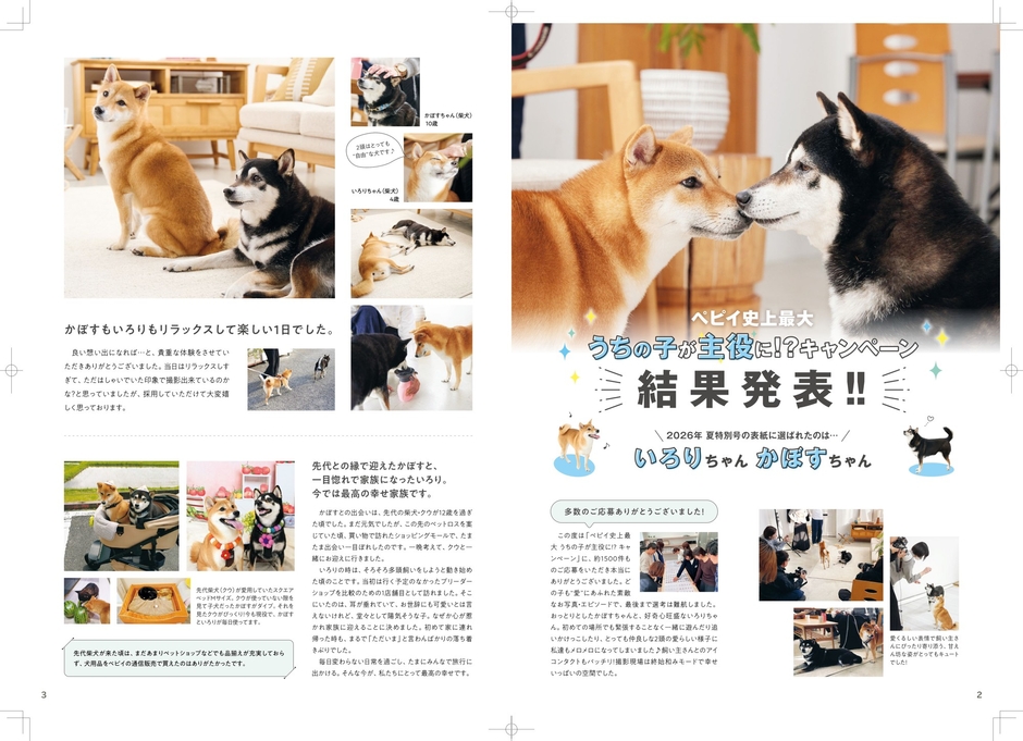 表紙掲載カタログ内の特集ページに掲載