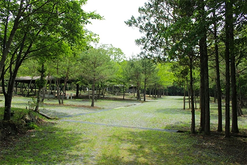 富士山の樹海 幻の湖 赤池 ほとりでキャンプ 新区画増設 19年8月3日 土 より新エリア サイト オープン Camp Akaike キャンプあかいけ Newscast