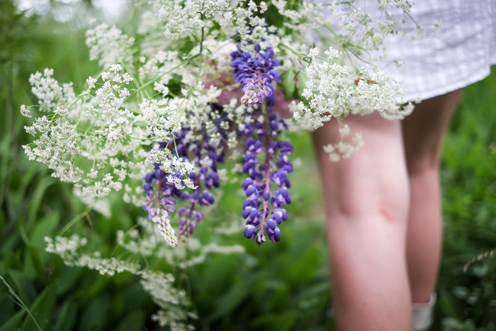 野の花が咲き始めるミッドサマーは、夏の始まり