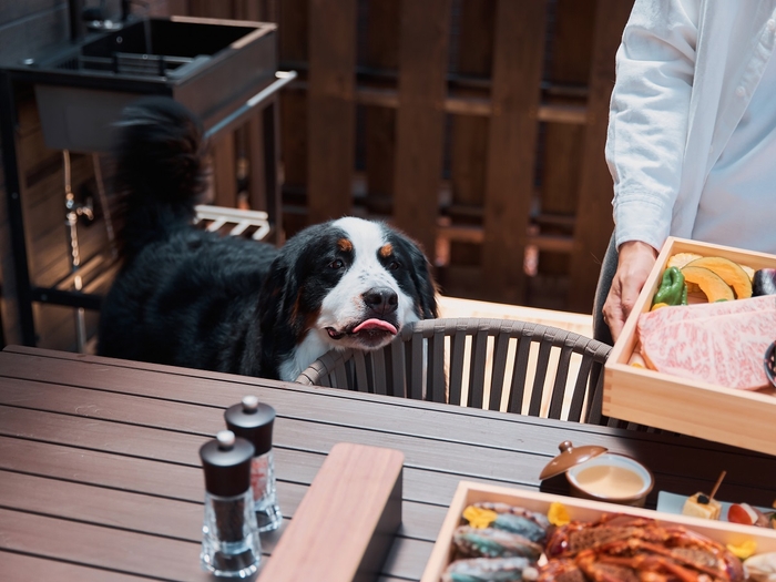 ワンちゃんと一緒にBBQ（DOG棟　tassu）