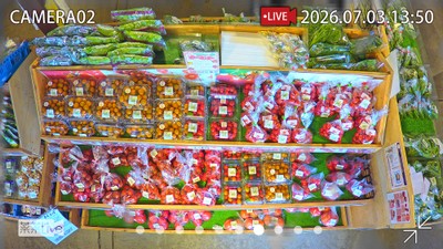 実際の配信画面。4K画像で美しく!