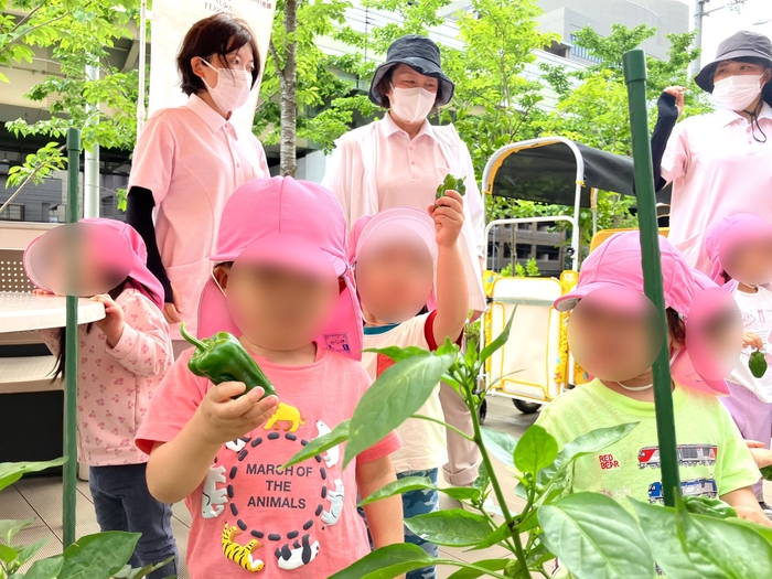 どのピーマンが一番大きいかな?