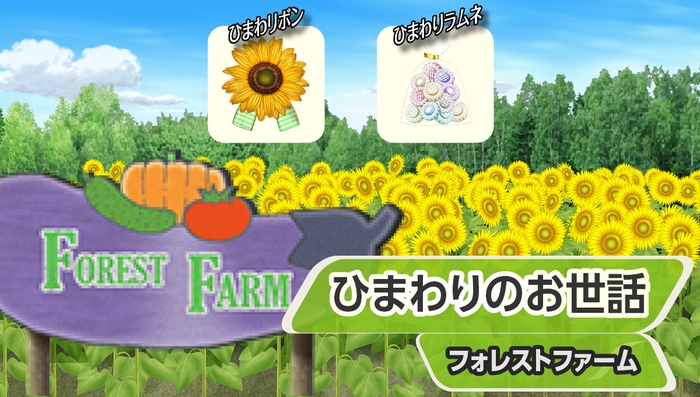 『ひまわりのお世話』