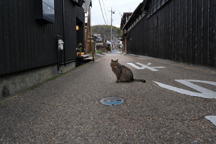 津山市城東地区風景(3)