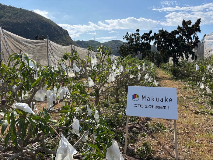 Makuake 目標1200%超え