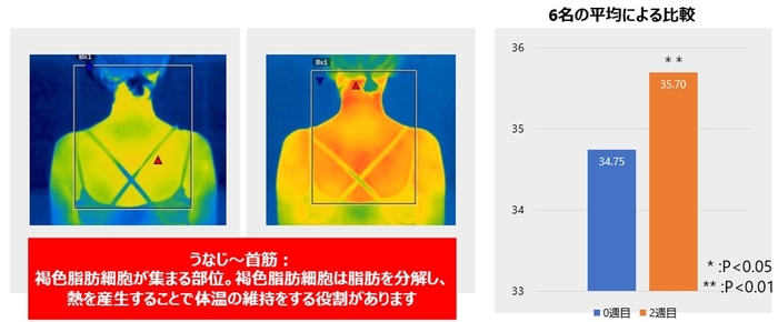 うなじ～首筋