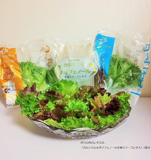 ラインナップ