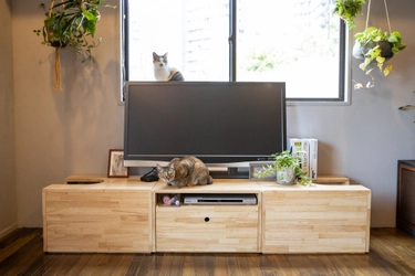 愛猫との暮らしを快適に！家具ブランド・NY&に 新商品“TVボードにもなる猫トイレカバー”が登場