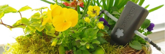 Daisy.si設置イメージ2