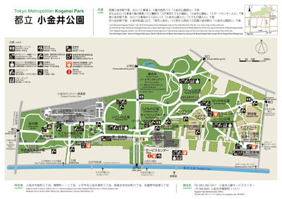 園内MAP