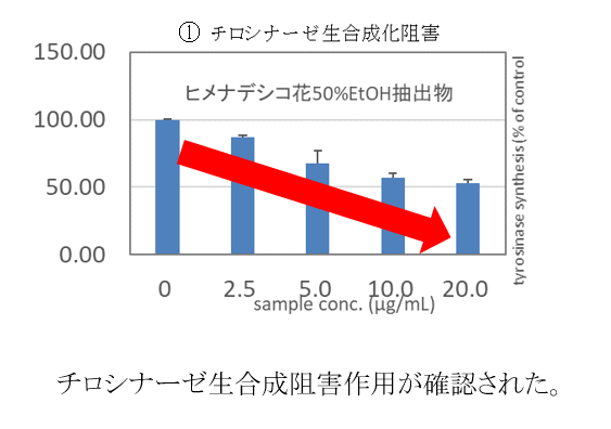 効果(1)シミの元をうみだす「チロシナーゼ」の阻害効果
