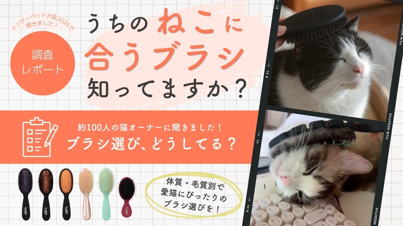 【hugmuk(ハグムク）調べ】猫のブラッシングに「正解」はあった。千差万別の毛質に合わせる、愛猫のための「パーソナライズ・ブラッシング」 