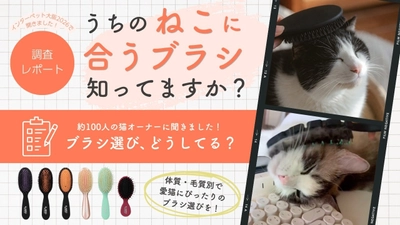 【hugmuk(ハグムク）調べ】猫のブラッシングに「正解」はあった。千差万別の毛質に合わせる、愛猫のための 「パーソナライズ・ブラッシング」 