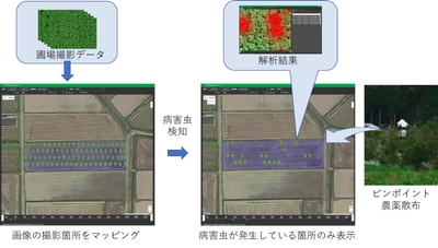 ピンポイント農薬散布テクノロジーを用いた 「丹波黒 大豆・枝豆」の栽培に成功、 2018年10月17日から高島屋で販売