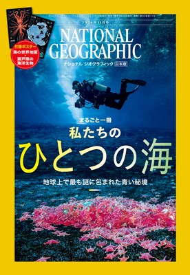 ナショナルジオグラフィック日本版11月号