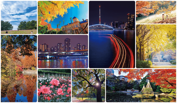 過去の入賞作品および、施設紹介写真