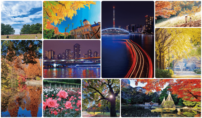 過去の入賞作品および、施設紹介写真