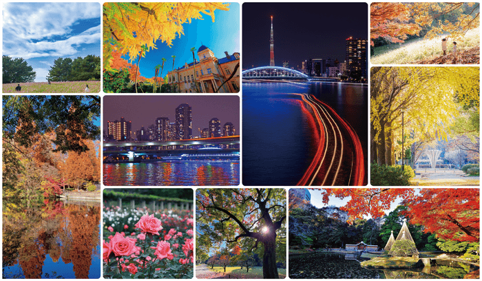 過去の入賞作品および、施設紹介写真