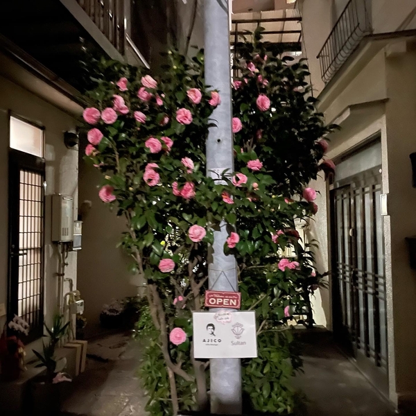 こちらの花を目印にご来店下さい　