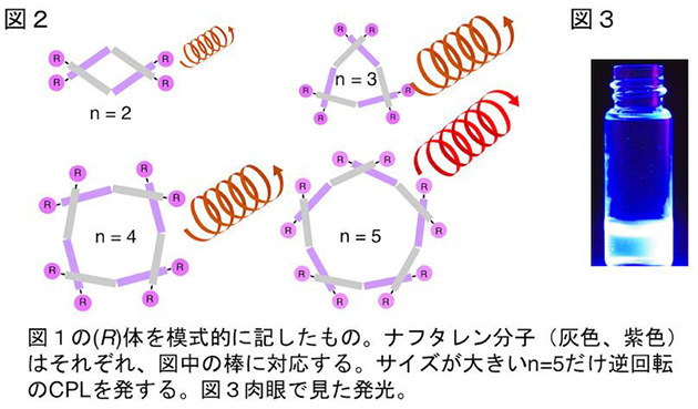 分子の大きさで円偏光発光の回転方向を制御できる環状キラル色素を開発 