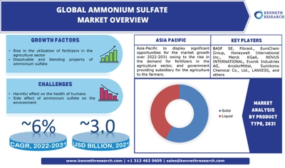 世界の硫酸アンモニウム市場の成長は、2022年から2031年の間に約6%のCAGRによる硫酸アンモニウムの溶解性およびブレンド性によって推進される