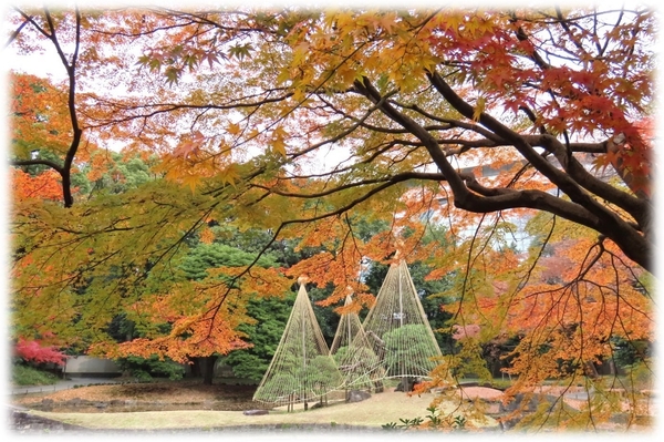 紅葉期の園内（昨年の様子）