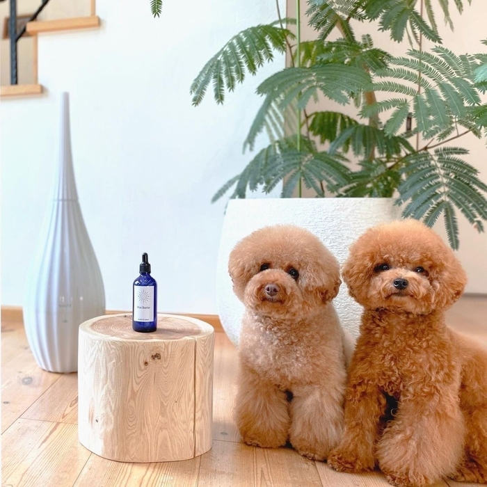 _purintaruto_様(@_purintaruto_)